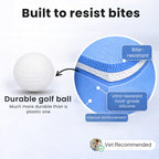 Pet Lick Ball