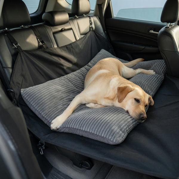 Plush comfort pad on the hard-bottom hammock with a Labrador