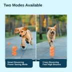 Smart Dog Toy Ball™