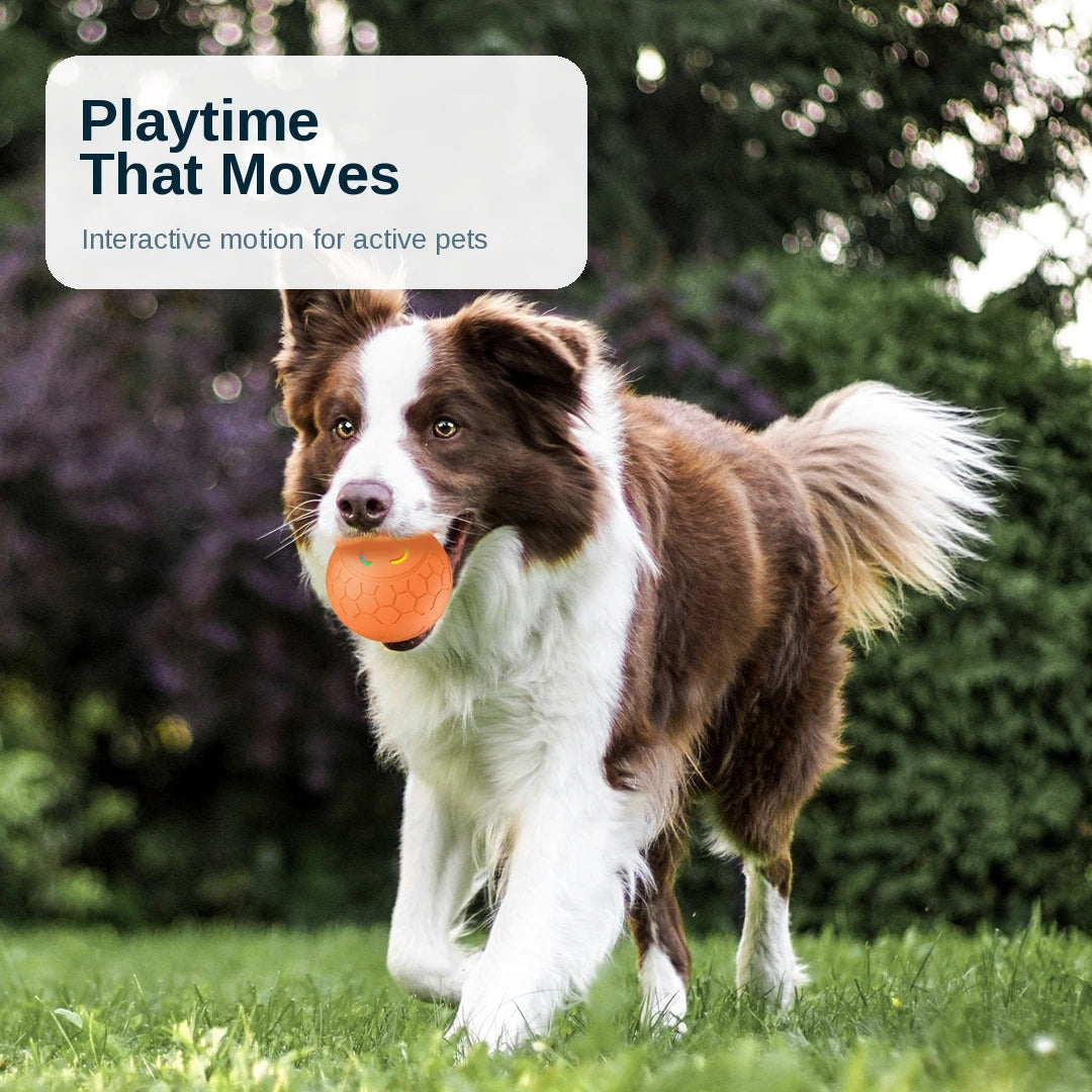 Smart Dog Toy Ball™